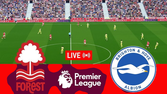 Watch Live Nottingham